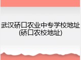 武汉硚口农业中专学校地址(硚口农校地址)