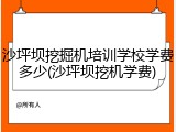 沙坪坝挖掘机培训学校学费多少(沙坪坝挖机学费)