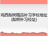 鸡西梨树精品补习学校地址(梨树补习校址)