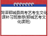 菏泽郓城县高考艺考生文化课补习班推荐(郓城艺考文化课班)