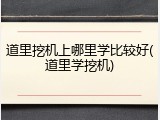 道里挖机上哪里学比较好(道里学挖机)