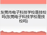 东莞市电子科技学校是技校吗(东莞电子科技学校是技校吗)