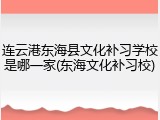 连云港东海县文化补习学校是哪一家(东海文化补习校)
