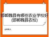 邯郸魏县有哪些农业学校好(邯郸魏县农校)
