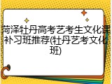 菏泽牡丹高考艺考生文化课补习班推荐(牡丹艺考文化班)