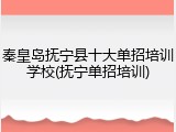 秦皇岛抚宁县十大单招培训学校(抚宁单招培训)