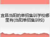 宜昌当阳的单招集训学校哪里有(当阳单招集训校)