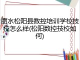 丽水松阳县数控培训学校技校怎么样(松阳数控技校如何)