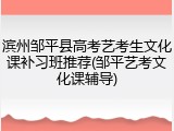 滨州邹平县高考艺考生文化课补习班推荐(邹平艺考文化课辅导)