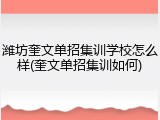 潍坊奎文单招集训学校怎么样(奎文单招集训如何)