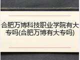 合肥万博科技职业学院有大专吗(合肥万博有大专吗)