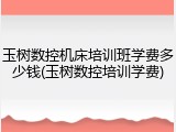 玉树数控机床培训班学费多少钱(玉树数控培训学费)