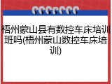 梧州蒙山县有数控车床培训班吗(梧州蒙山数控车床培训)
