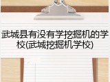 武城县有没有学挖掘机的学校(武城挖掘机学校)