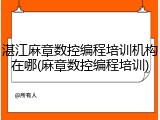 湛江麻章数控编程培训机构在哪(麻章数控编程培训)