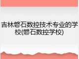 吉林磐石数控技术专业的学校(磐石数控学校)