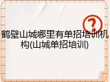 鹤壁山城哪里有单招培训机构(山城单招培训)