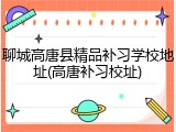 聊城高唐县精品补习学校地址(高唐补习校址)