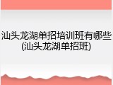 汕头龙湖单招培训班有哪些(汕头龙湖单招班)