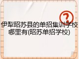伊犁昭苏县的单招集训学校哪里有(昭苏单招学校)