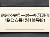 荆州公安县一对一补习班价格(公安县1对1辅导价)