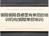 铜陵铜陵县哪里有单招的培训机构(铜陵单招培训)