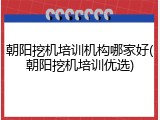 朝阳挖机培训机构哪家好(朝阳挖机培训优选)