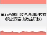 黄石西塞山数控培训职校有哪些(西塞山数控职校)