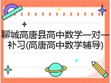 聊城高唐县高中数学一对一补习(高唐高中数学辅导)