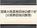楚雄大姚县单招培训哪个好(大姚单招培训推荐)