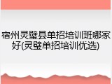 宿州灵璧县单招培训班哪家好(灵璧单招培训优选)