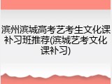 滨州滨城高考艺考生文化课补习班推荐(滨城艺考文化课补习)