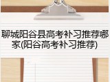 聊城阳谷县高考补习推荐哪家(阳谷高考补习推荐)