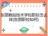 东丽数控技术学校职校怎么样(东丽职校如何)