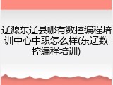 辽源东辽县哪有数控编程培训中心中职怎么样(东辽数控编程培训)