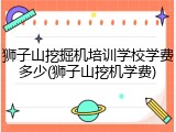 狮子山挖掘机培训学校学费多少(狮子山挖机学费)