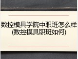 数控模具学院中职班怎么样(数控模具职班如何)