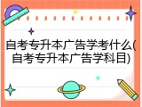 自考专升本广告学考什么(自考专升本广告学科目)