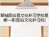 聊城阳谷县文化补习学校是哪一家(阳谷文化补习校)