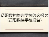 辽阳数控培训学校怎么报名(辽阳数控学校报名)