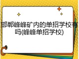 邯郸峰峰矿内的单招学校有吗(峰峰单招学校)