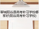 聊城阳谷县高考补习学校哪家好(阳谷高考补习学校)