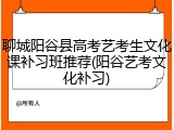 聊城阳谷县高考艺考生文化课补习班推荐(阳谷艺考文化补习)
