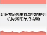 朝阳龙城哪里有单招的培训机构(朝阳单招培训)