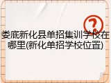 娄底新化县单招集训学校在哪里(新化单招学校位置)
