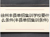 徐州丰县单招集训学校要什么条件(丰县单招集训条件)