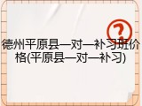 德州平原县一对一补习班价格(平原县一对一补习)