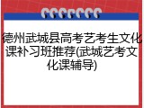 德州武城县高考艺考生文化课补习班推荐(武城艺考文化课辅导)