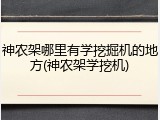 神农架哪里有学挖掘机的地方(神农架学挖机)