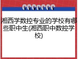 湘西学数控专业的学校有哪些职中生(湘西职中数控学校)